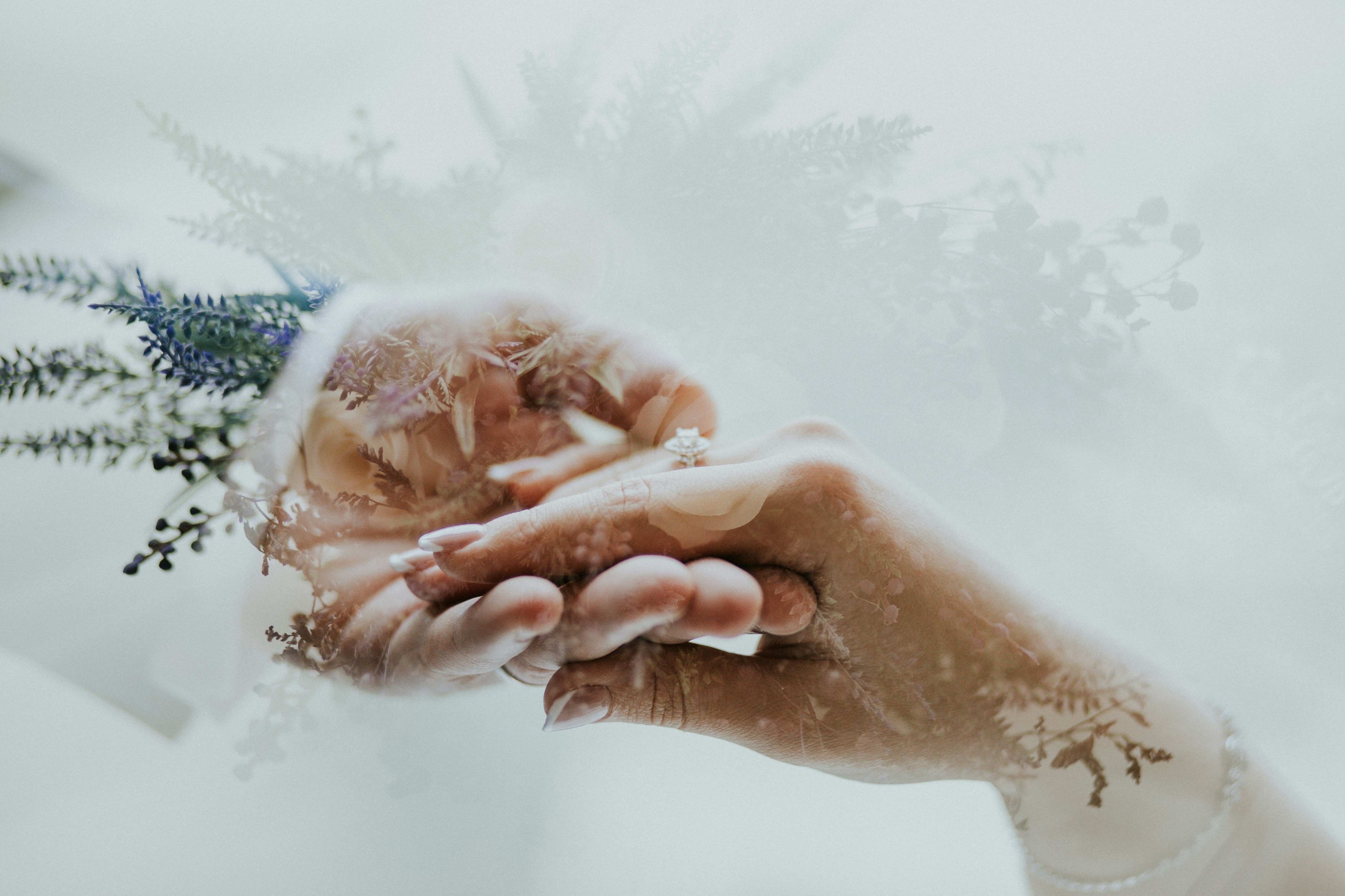 Banner Image 3